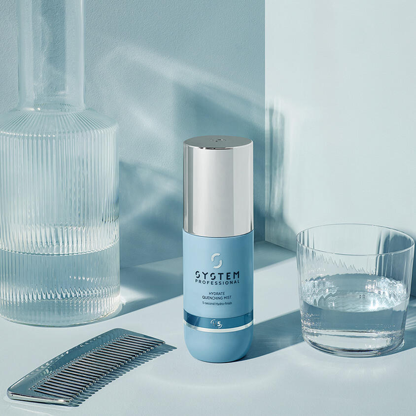 SYSTEM PROFESSIONAL～HYDRATE～