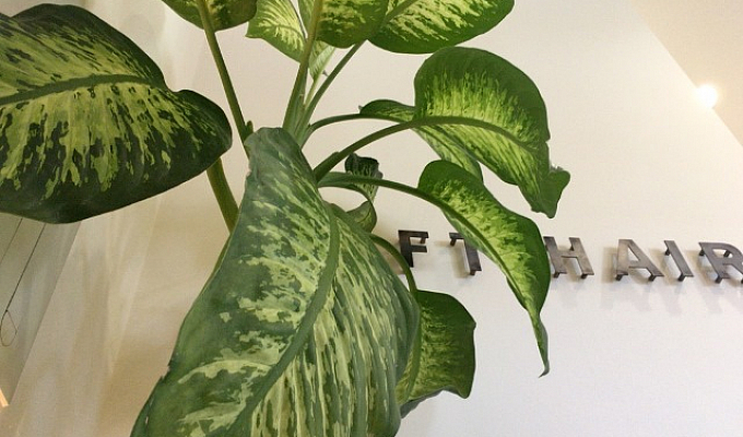 ショップ情報 美容室luft Hair ルフトヘア 南千住店 エルザグループ ショップ情報 美容室luft Hair ルフトヘア 南千住店 エルザグループ